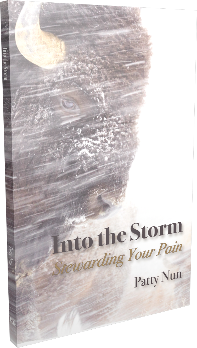 Into the Storm 3D Cover
